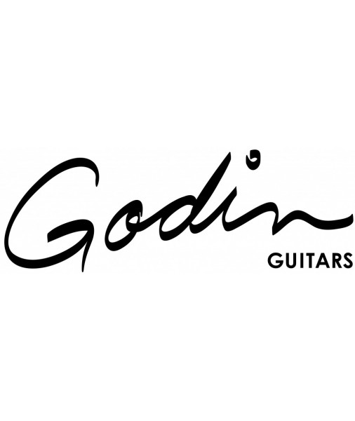 Godin  A6 ULTRA Black HIRE