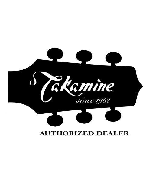 Takamine TP4T pre amp system