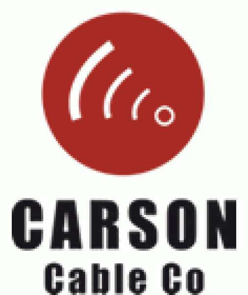 CARSON POWERPLAY Low noise DC power polarity reversing cable.