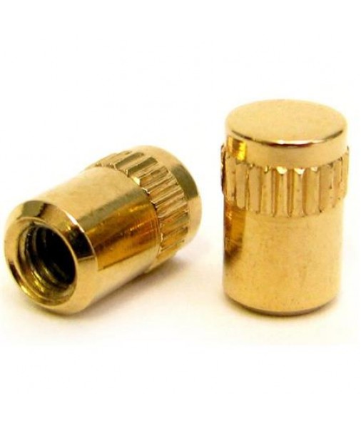 Gretsch Gold Switch Tips Set of Two 9221041000