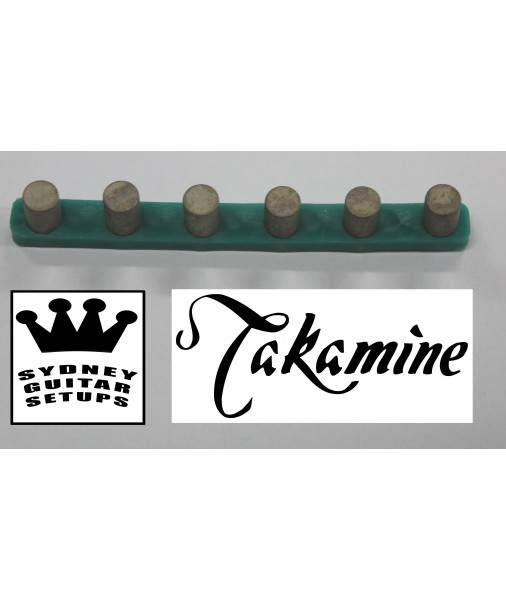 Takamine Pickup Crystals Set