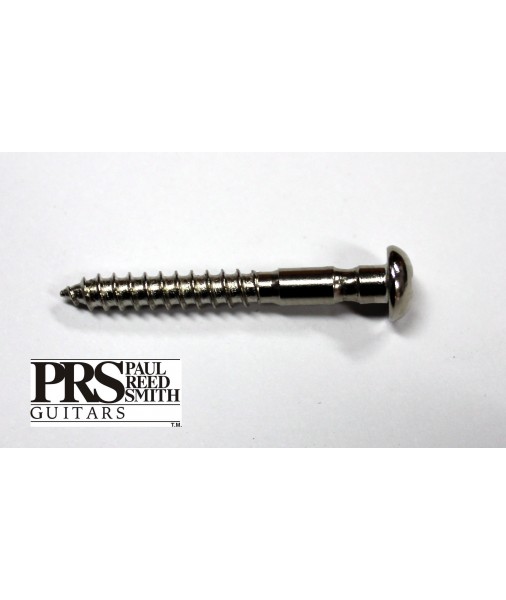 PRS  Tremolo Bridge mounting screw