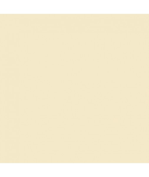 Nitrocellulose Olympic White Lacquer 400g Spray Can