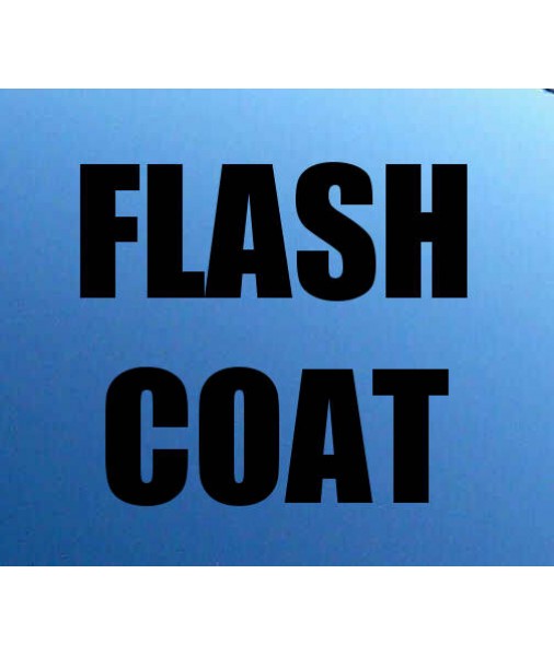 Flash Coat Wicked Witch  20% 75% 5% FLASH