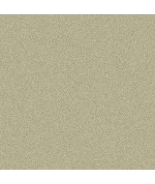 Nitrocellulose GREY Undercoat Prime 400g aerosol spray can
